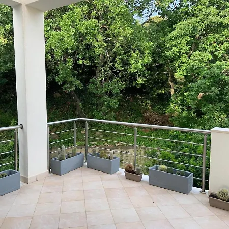 Strutta Nova Apartamento